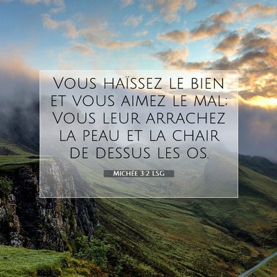 Michée 3:2 LSG Image du verset biblique