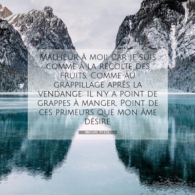 Michée 7:1 LSG Image du verset biblique