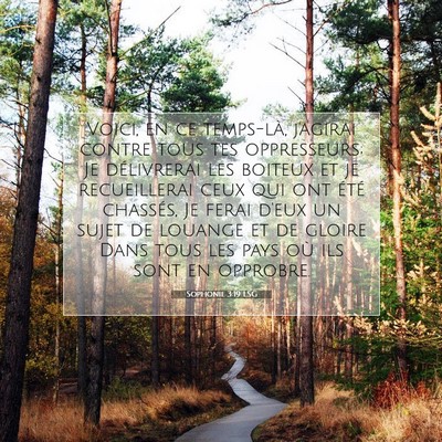 Sophonie 3:19 LSG Image du verset biblique