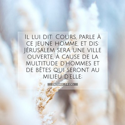 Zacharie 2:4 LSG Image du verset biblique