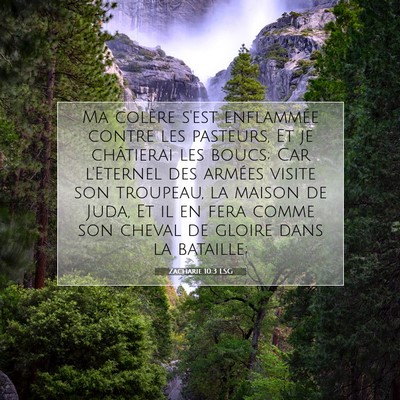 Zacharie 10:3 LSG Image du verset biblique