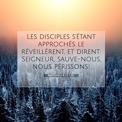 Matthieu 8:25 Verset biblique expliqué