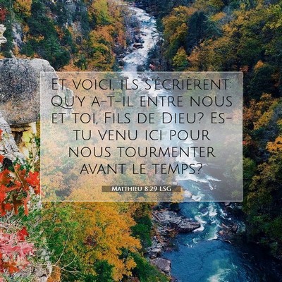 Matthieu 8:29 Verset biblique expliqué