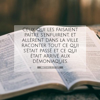 Matthieu 8:33 Verset biblique expliqué