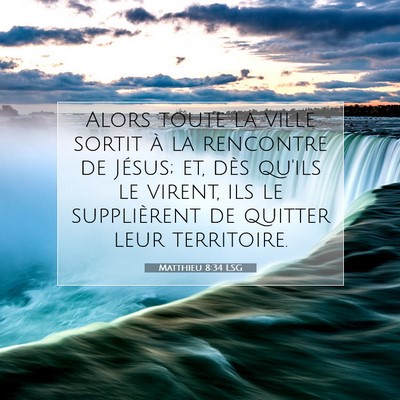 Matthieu 8:34 Verset biblique expliqué