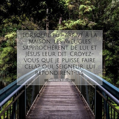 Matthieu 9:28 LSG Image du verset biblique