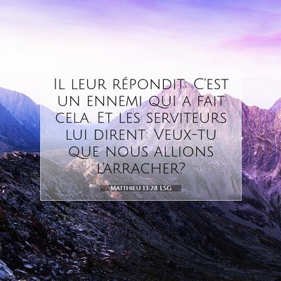 Matthieu 13:28 Verset biblique expliqué