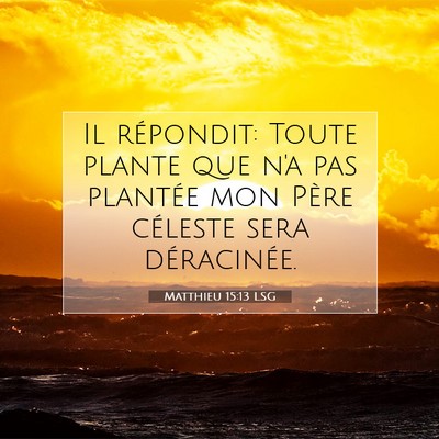 Matthieu 15:13 Verset biblique expliqué