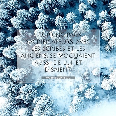Matthieu 27:41 LSG Image du verset biblique