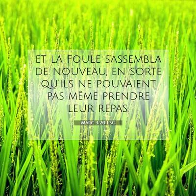 Marc 3:20 LSG Image du verset biblique