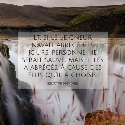 Marc 13:20 LSG Image du verset biblique