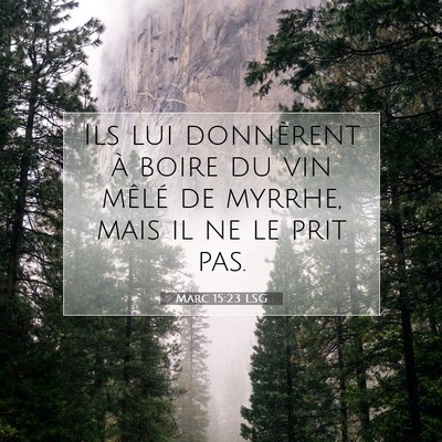 Marc 15:23 Verset biblique expliqué