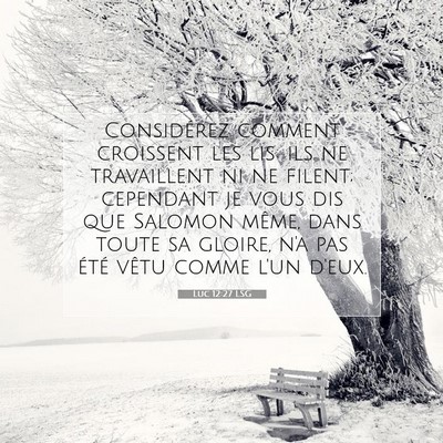 Luc 12:27 Verset biblique expliqué