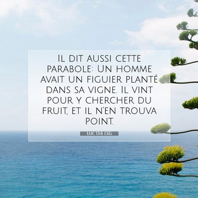 Luc 13:6 Verset biblique expliqué