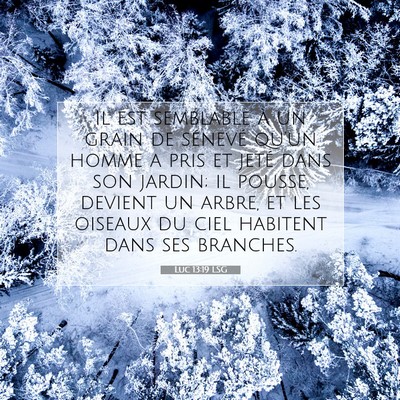 Luc 13:19 Verset biblique expliqué