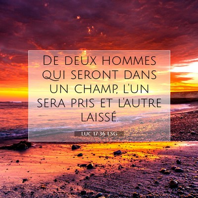 Luc 17:36 Verset biblique expliqué