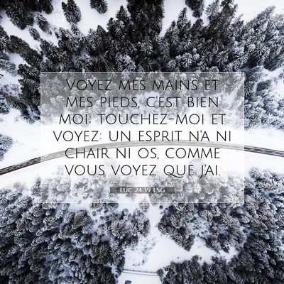 Luc 24:39 LSG Image du verset biblique