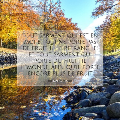 Jean 15:2 LSG Image du verset biblique