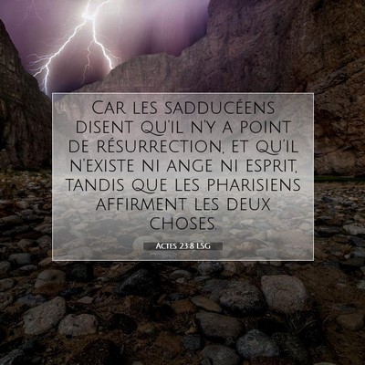 Actes 23:8 LSG Image du verset biblique