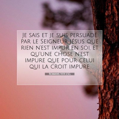 Romains 14:14 LSG Image du verset biblique