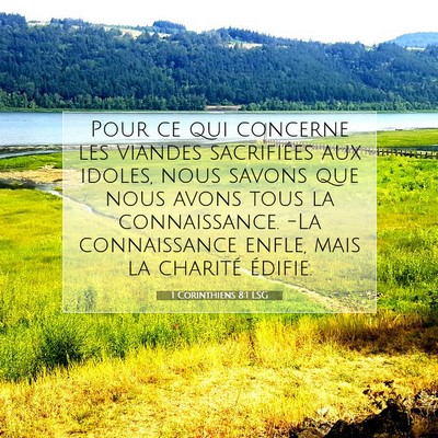 1 Corinthiens 8:1 LSG Image du verset biblique