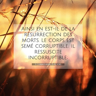 1 Corinthiens 15:42 Verset biblique expliqué