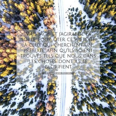 2 Corinthiens 11:12 LSG Image du verset biblique