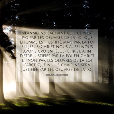 Galates 2:16 LSG Image du verset biblique