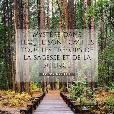 Colossiens 2:3 LSG Image du verset biblique